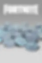 13500 В-баксов (Epic Games)